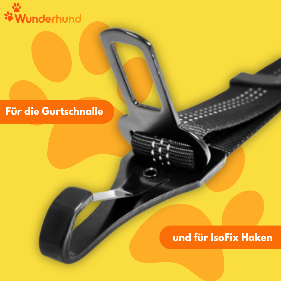 Hunde Auto Sicherheitsgurt Gurt Isofix