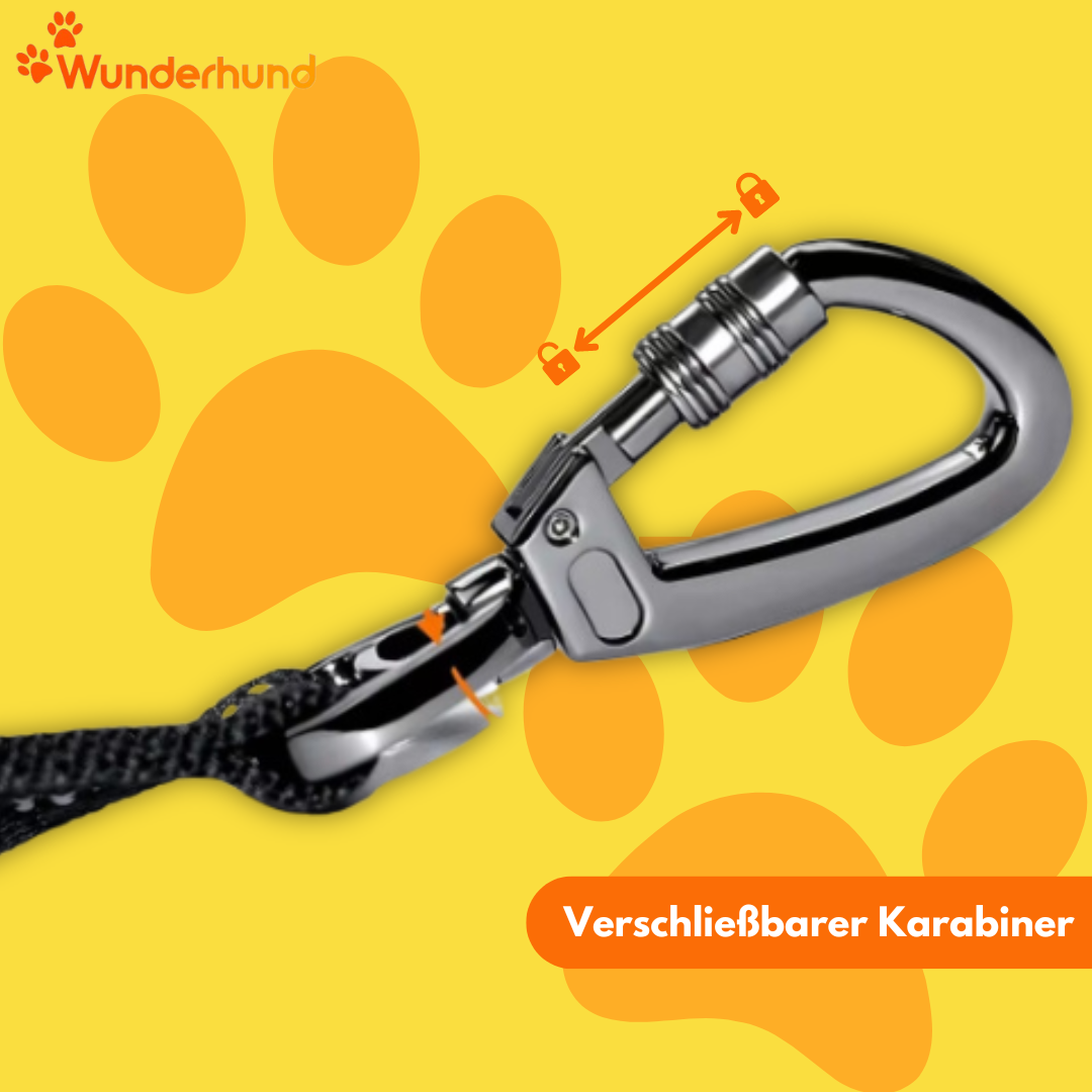 Hunde Auto Sicherheitsgurt Karabiner