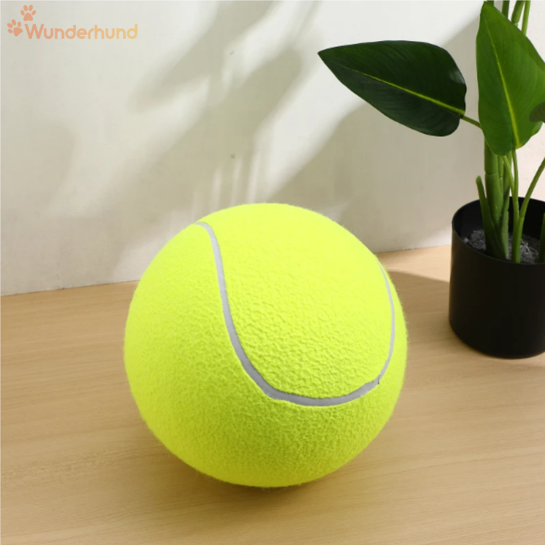 Hunde Tennisball extra groß