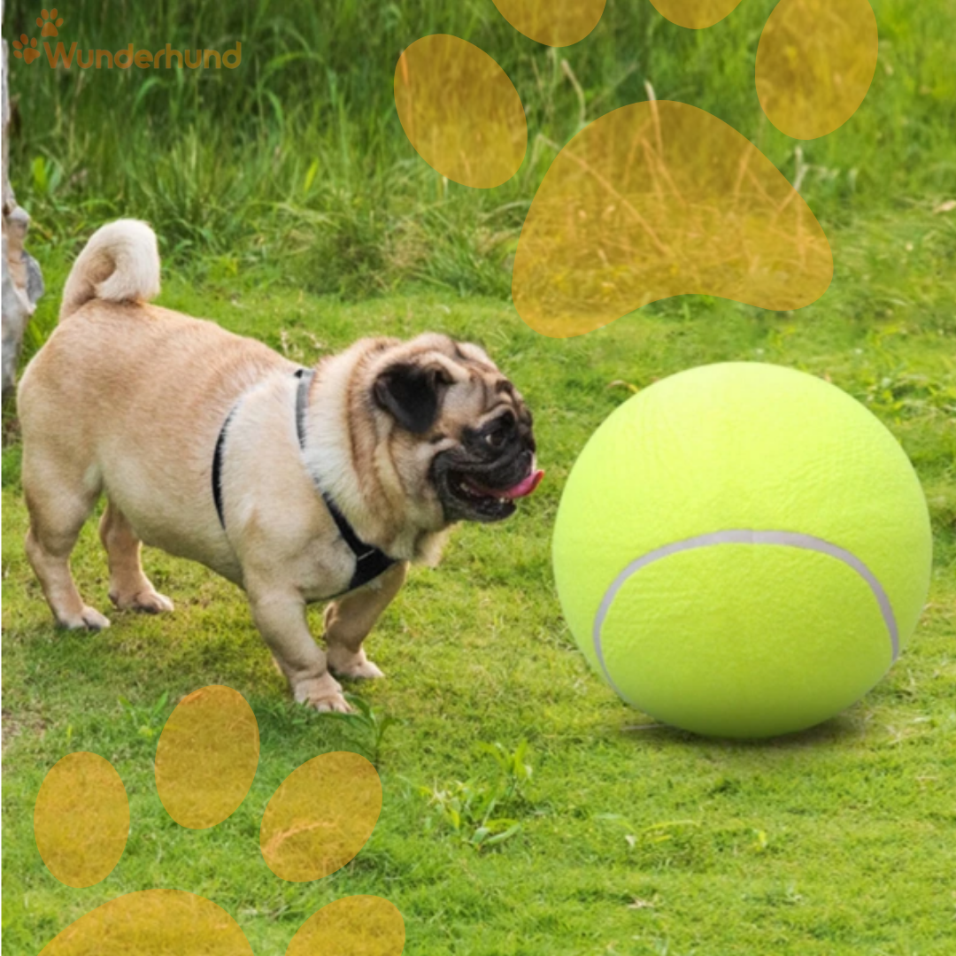 Outdoor Hundespielzeug großer Ball
