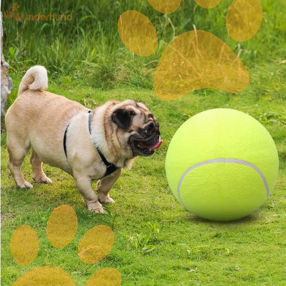 Outdoor Hundespielzeug großer Ball
