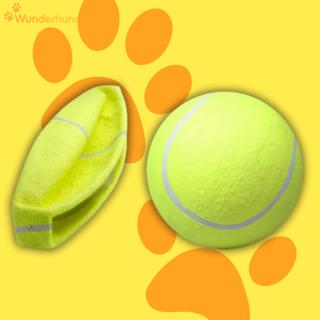 XXL Tennisball für Hunde